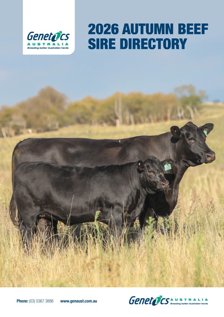 2026 Autumn Beef Update