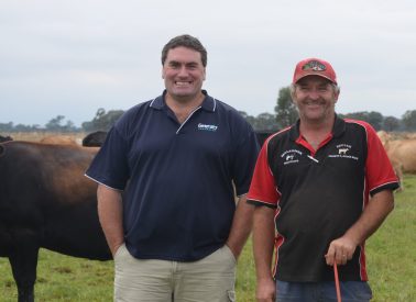 New bull honours Greg Tiller