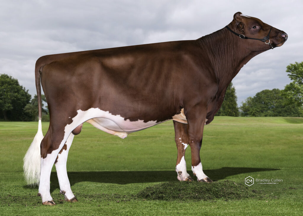 ARBMCKEON - Product Image