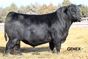 Baldridge Grindstone