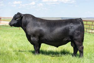 Baldridge SR Goalkeeper