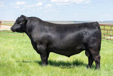 Baldridge SR Goalkeeper