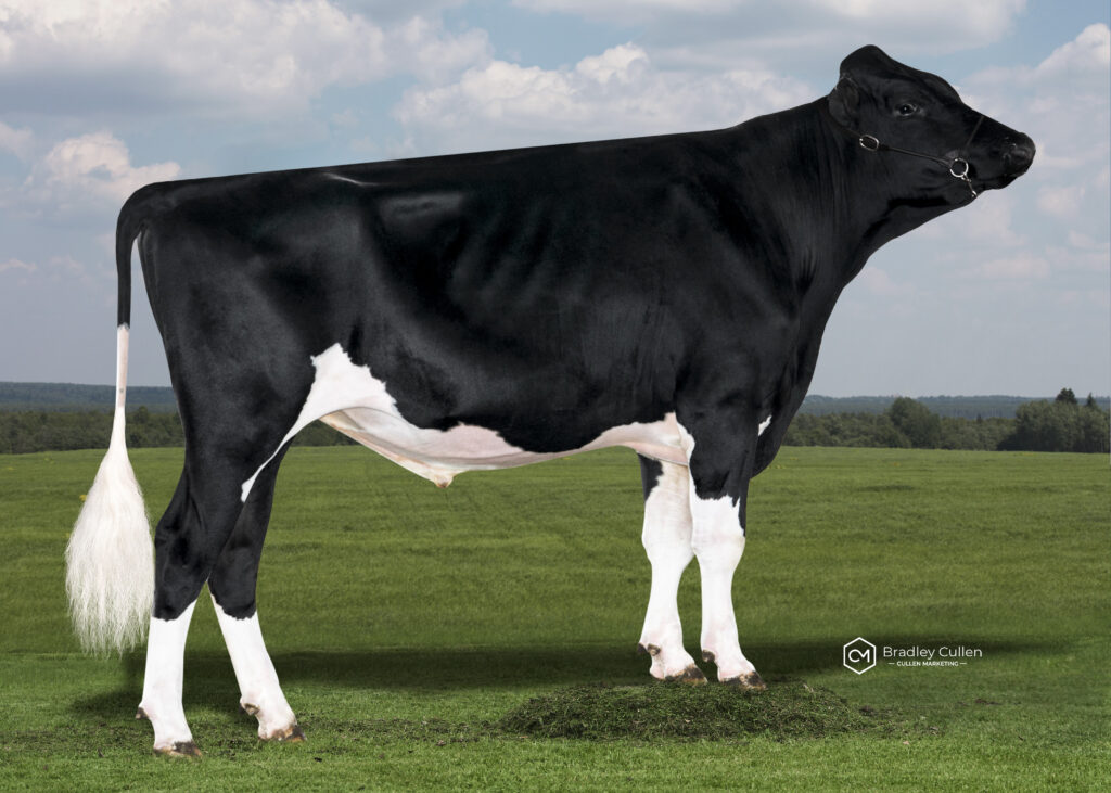 EASTERN - Product Image