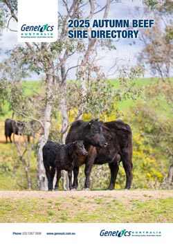 2025 Autumn Beef Update