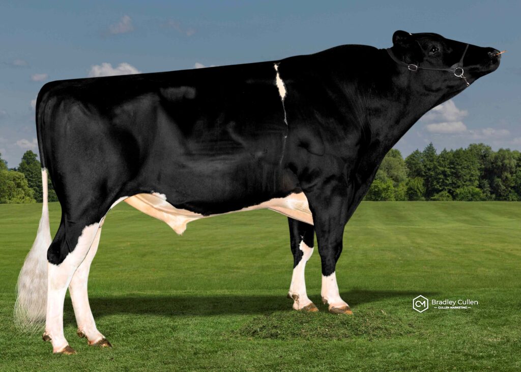 VARLEY - Product Image