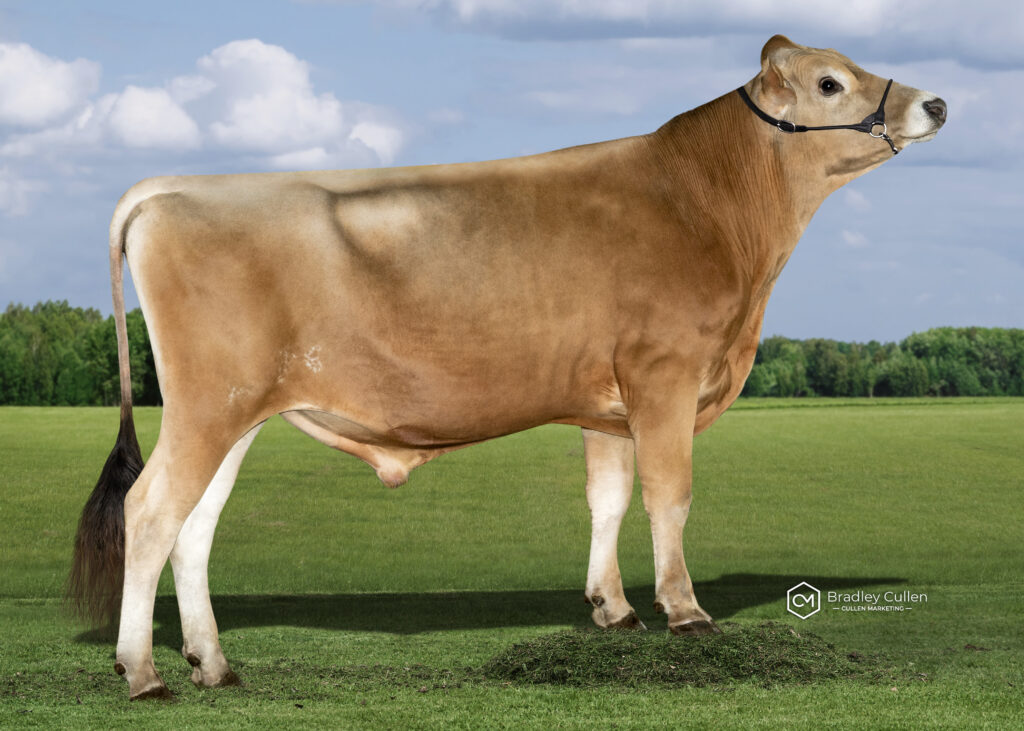 BUTLER - Product Image
