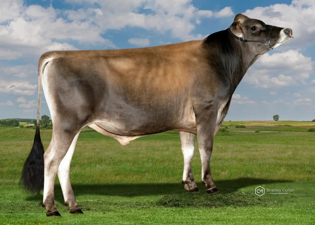 AEROGLEN - Product Image