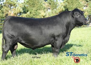 KCF Bennett Exponential