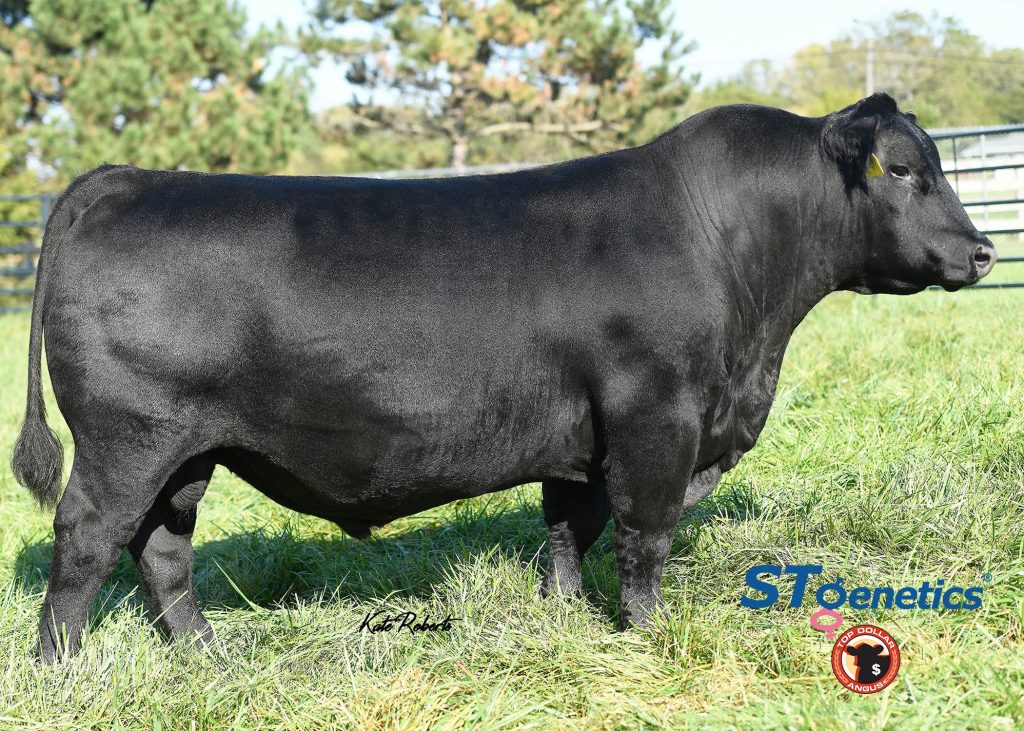 Sitz Intuition - Product Image