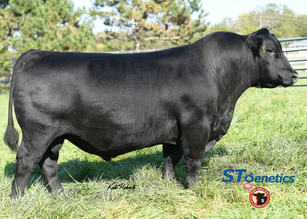 Sitz Intuition - Product Image