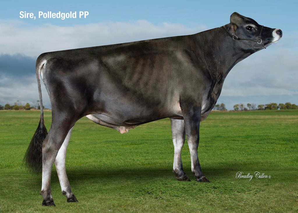 BELOVED - Product Image