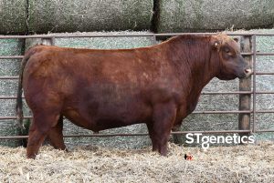 Six Mile Private Stock 32H