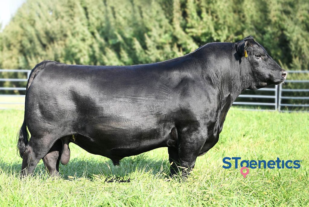 Myers Fair-N-Square M39 - Product Image