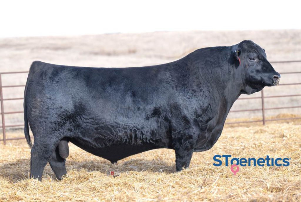 Ellingson Rangeland - Product Image