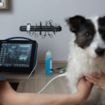 PREGNANCY SCANNER – ISCAN BLUE - Image 4