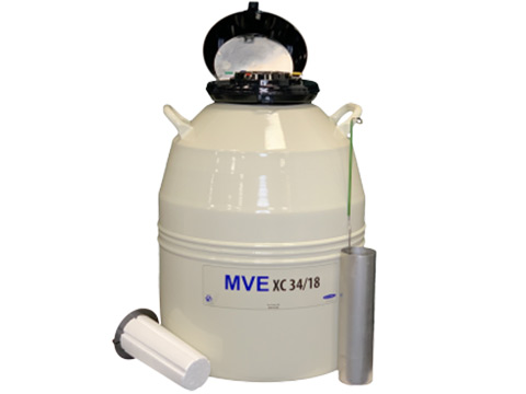 Liquid Nitrogen Tanks