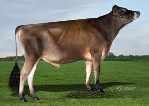 TRECKER